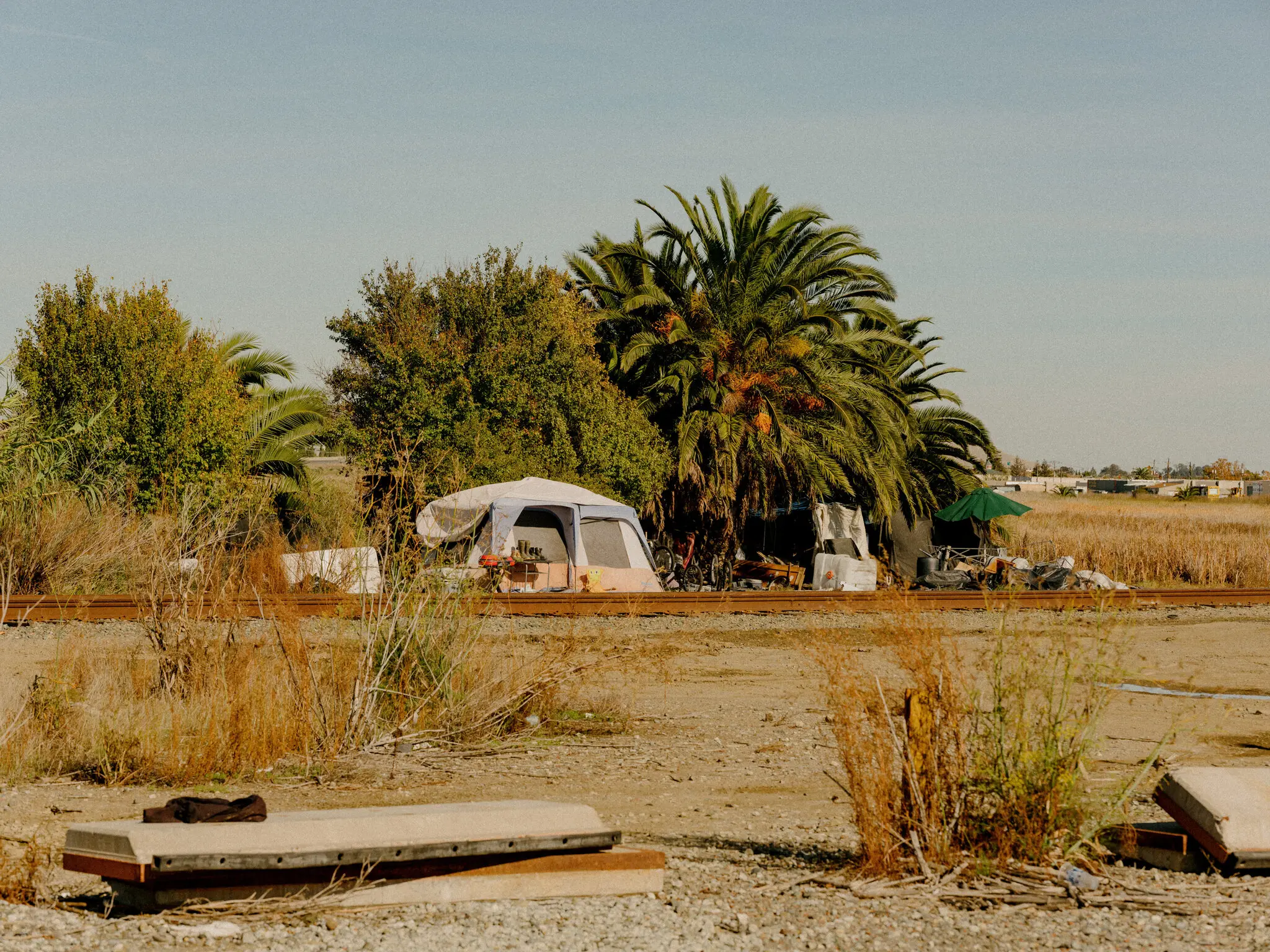 Адміністрація Трампа відкликає реформу $3,9 млрд на боротьбу з бездомністю: хаос замість політики
